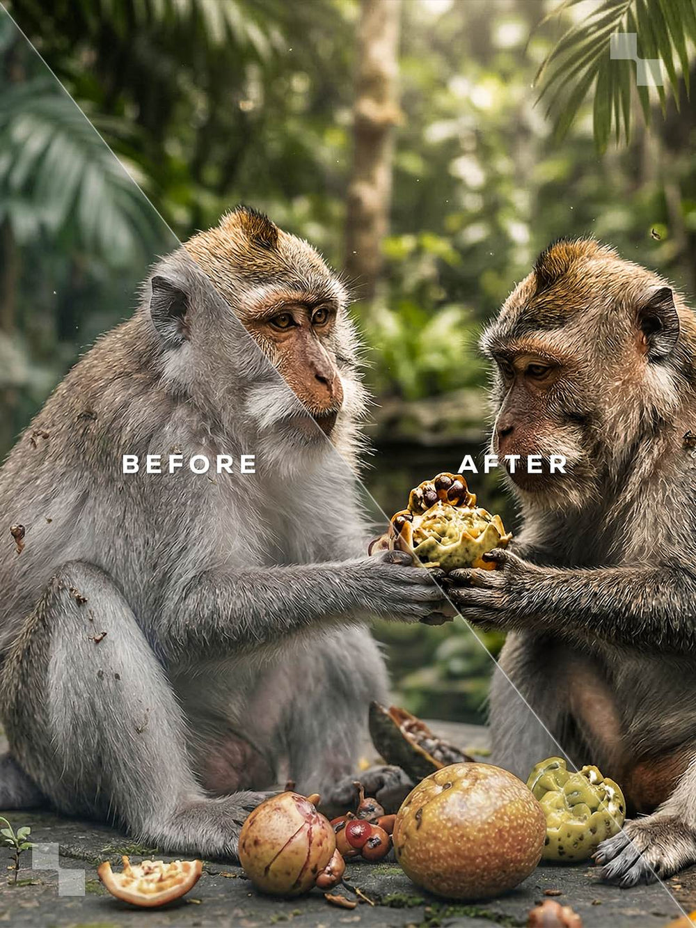 Bali Lightroom Presets