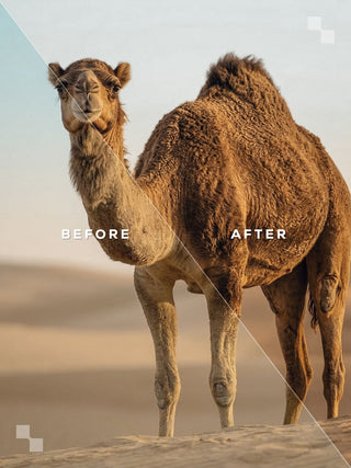 Sahara Lightroom Preset