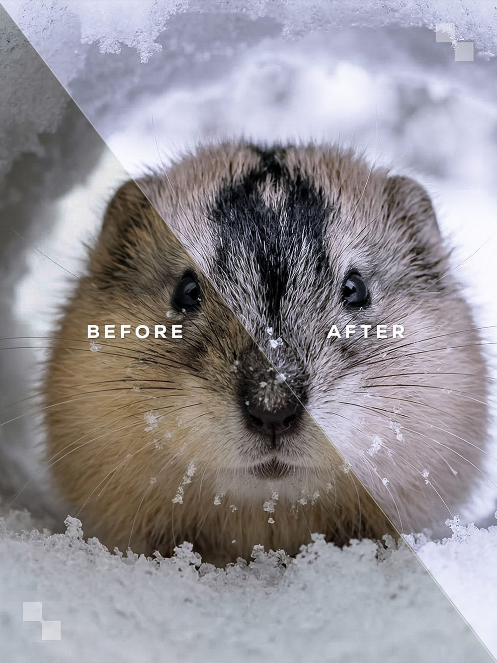 Lapland Lightroom Presets