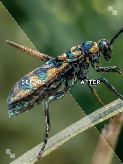 Costa Rica Lightroom Presets
