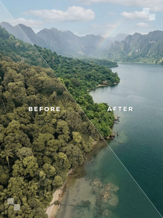 India Lightroom Preset