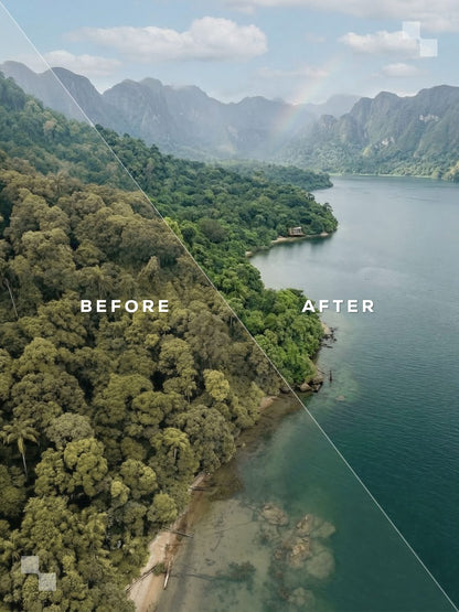 India Lightroom Presets