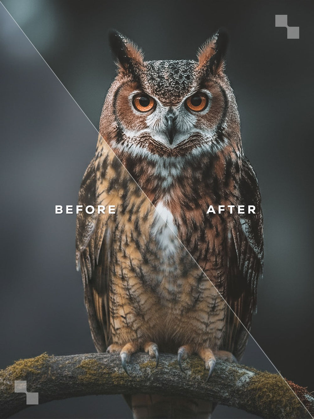 Iceland Lightroom Presets
