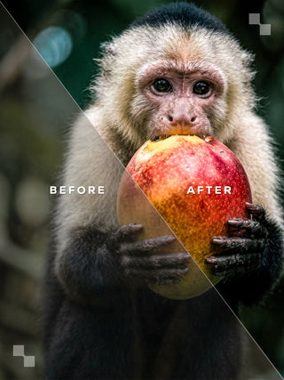 Costa Rica Lightroom Preset