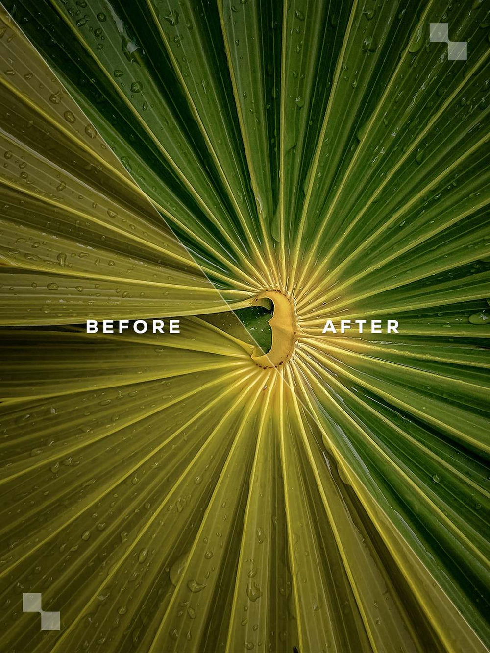 Tulum Lightroom Presets