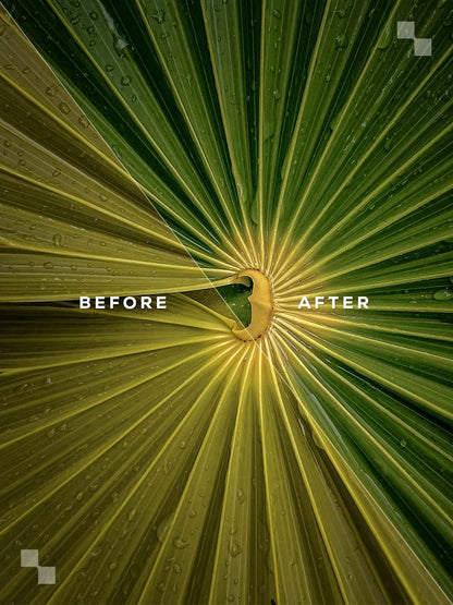 Tulum Lightroom Presets