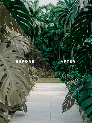 Ubud Lightroom Preset