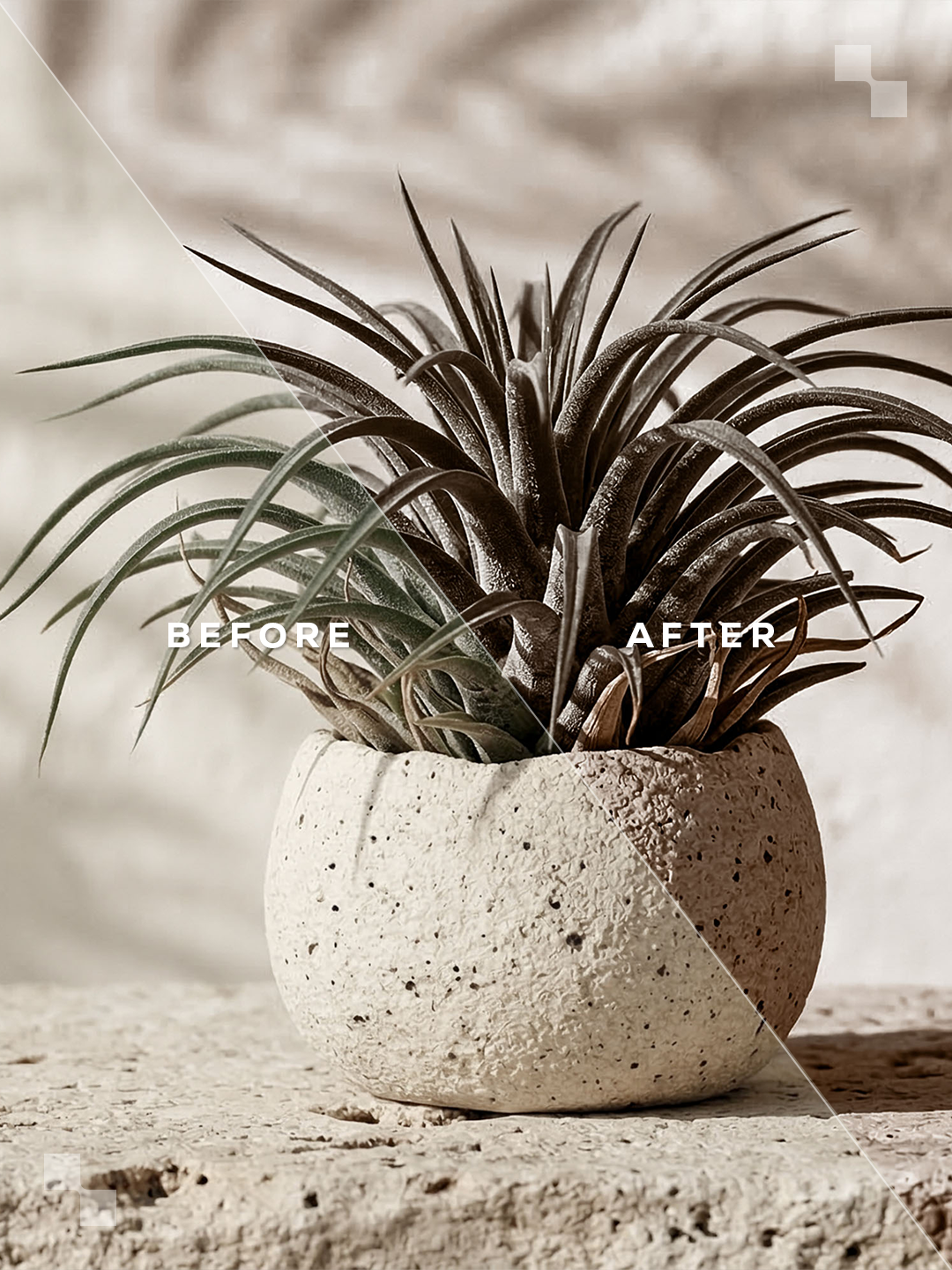 Marrakech Lightroom Presets