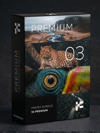 The Premium Bundle – Lightroom Presets