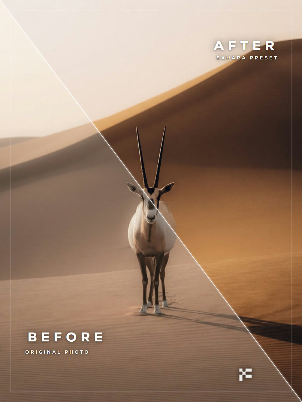Sahara Lightroom Presets