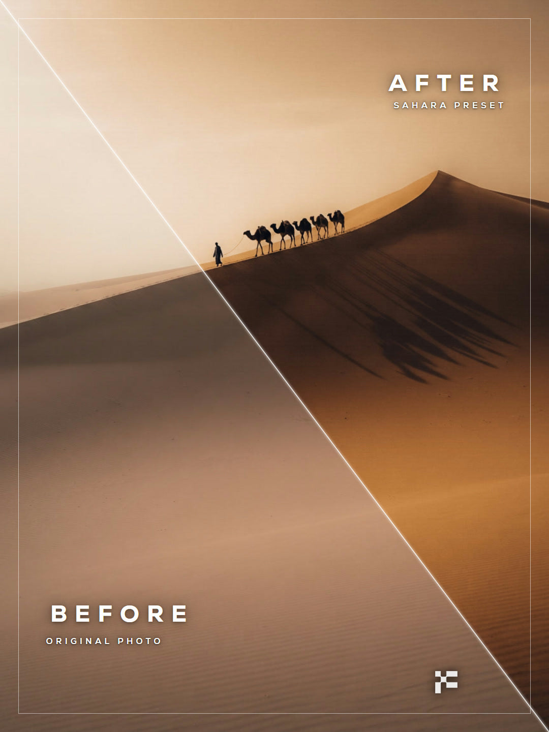 The First Edition Bundle - Lightroom Presets