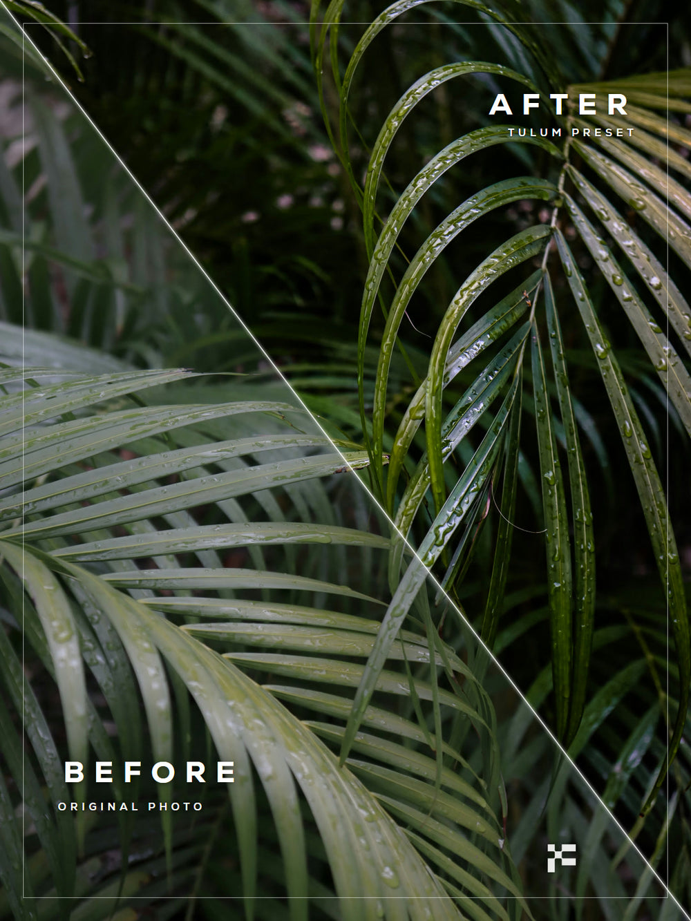Tulum Lightroom Presets
