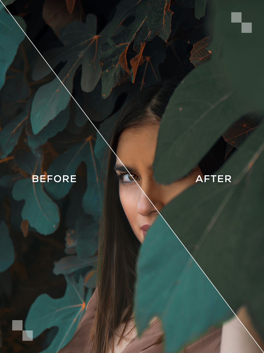 Costwolds Lightroom Presets