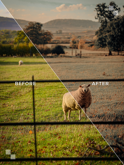 Costwolds Lightroom Presets