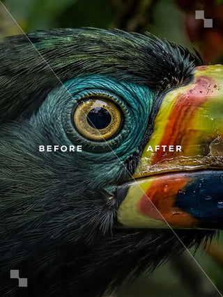 The Premium Bundle – Lightroom Presets