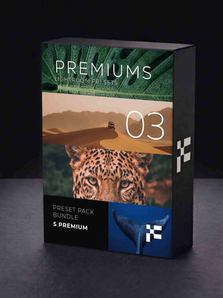The Premium Bundle – Lightroom Presets